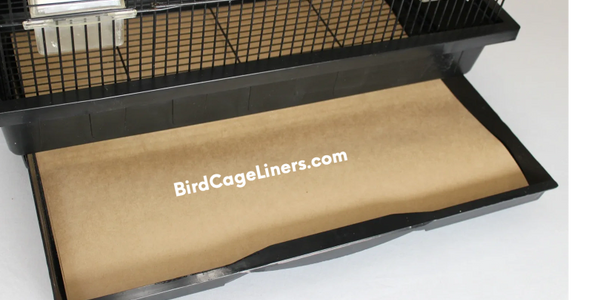 Best bird deals cage liners