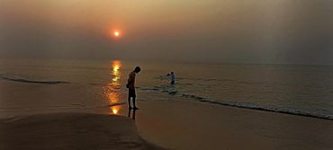 Twigs, Puri, Sea Beach , Golden Tree