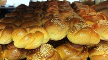 Plain and Sesame Seed Braided Dinner Rolls