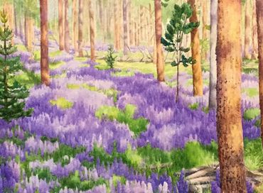 painting of a forest floor covered with purple lupine wildflowers in the Big Hole of Montana.