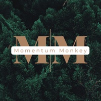Momentum Monkey