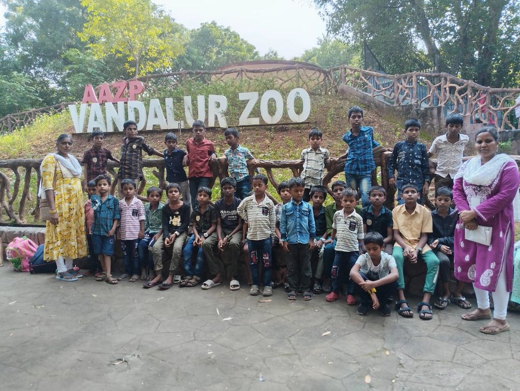 From watching the mighty lions roar 🦁 to giggling at the playful monkeys 🐒 and admiring the colorf