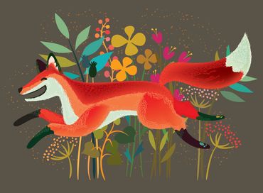 Fox