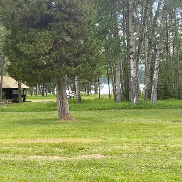 Green grassy field with trees and a small cabin near a lake.