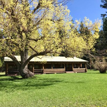 Log cabin with blossoming tree and green lawn.