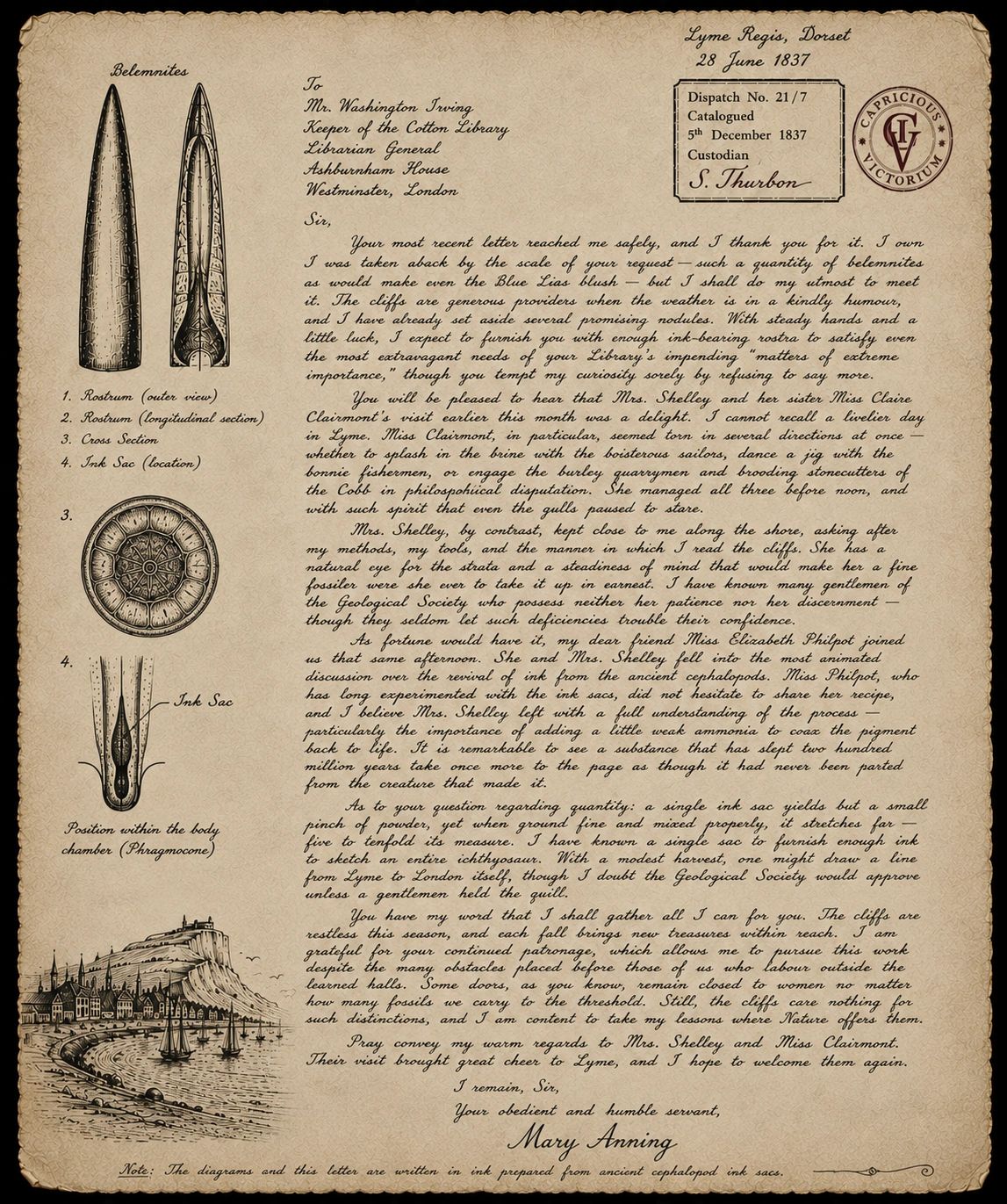 Vintage letter with detailed sketches of belemnites and a coastal town scene.
