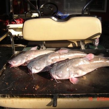 And they had a fish fry.  They were good too.