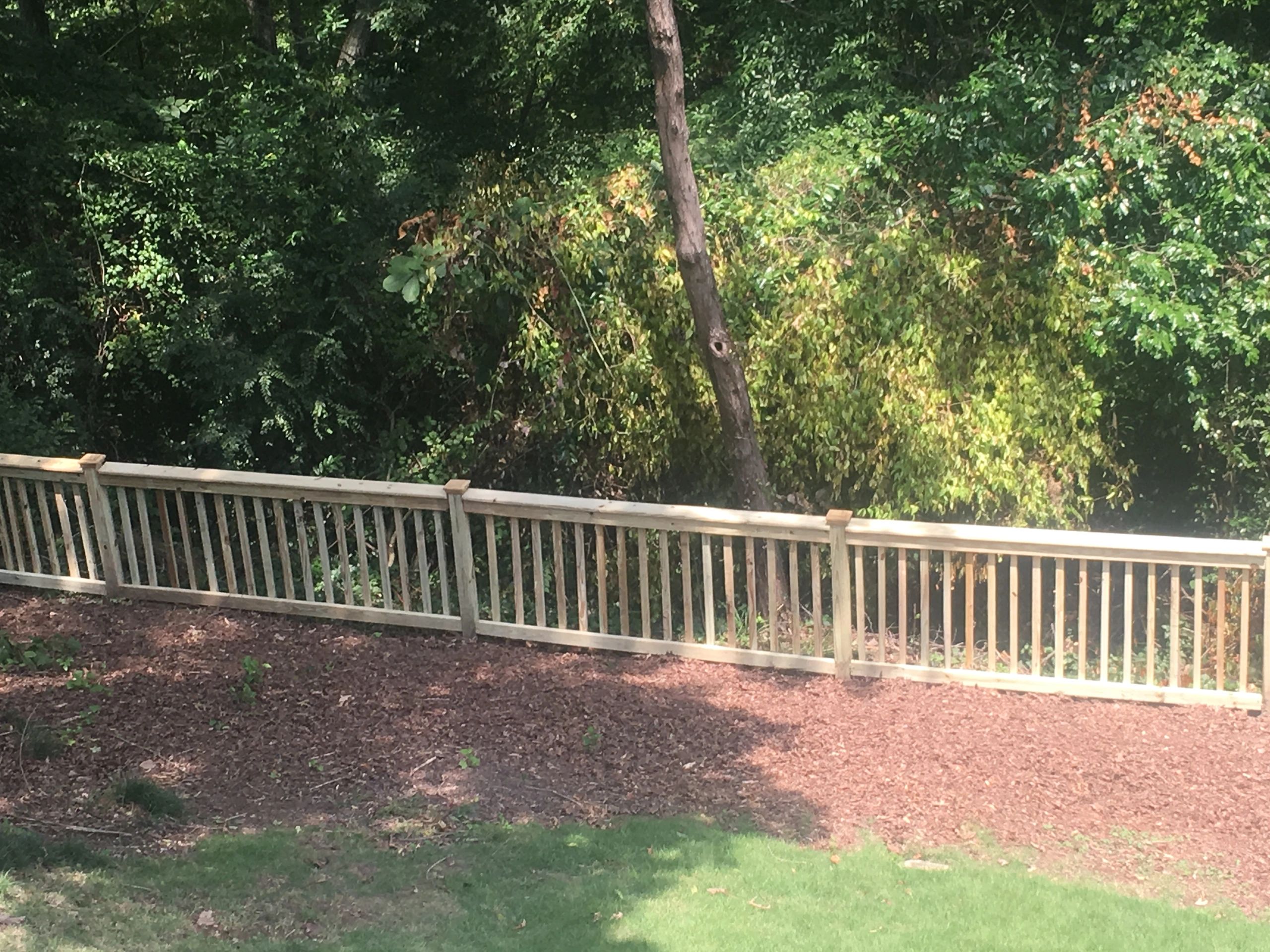 Wooden fence near lush forest.