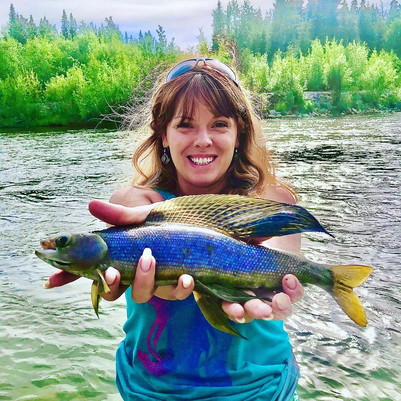 Grayling, Arctic, trout, Fishing, Willow, Wasilla, Denail, Willow Creek, Alaska, Driftboat, outside