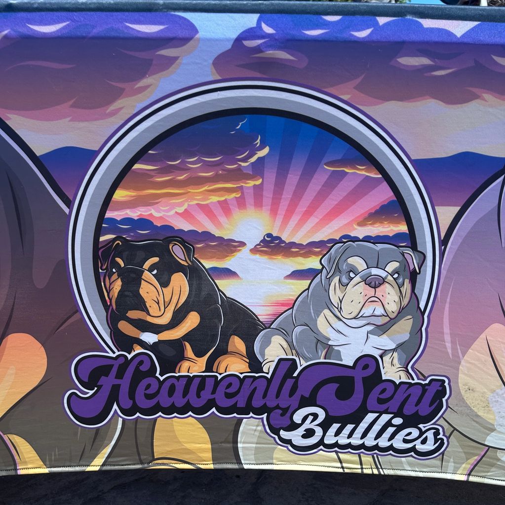 Mural of two bulldogs with sunset background and 'Heavenly Sent Bullies' text.