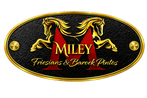 Miley Friesians