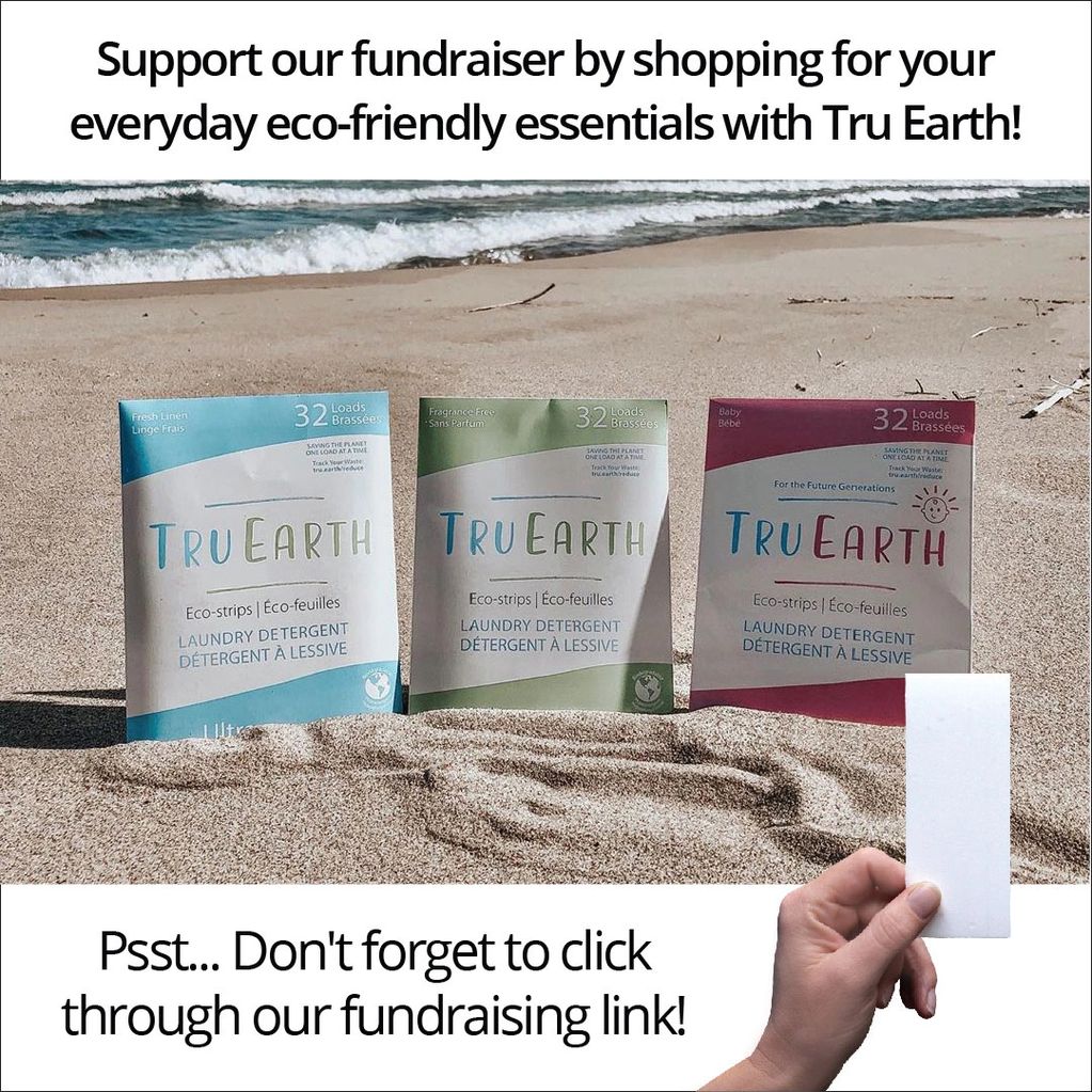 Fundraiser: Tru Earth laundry strips and other eco friendly products