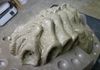 Another close up of the "face-hugger" body puppet clay layup.