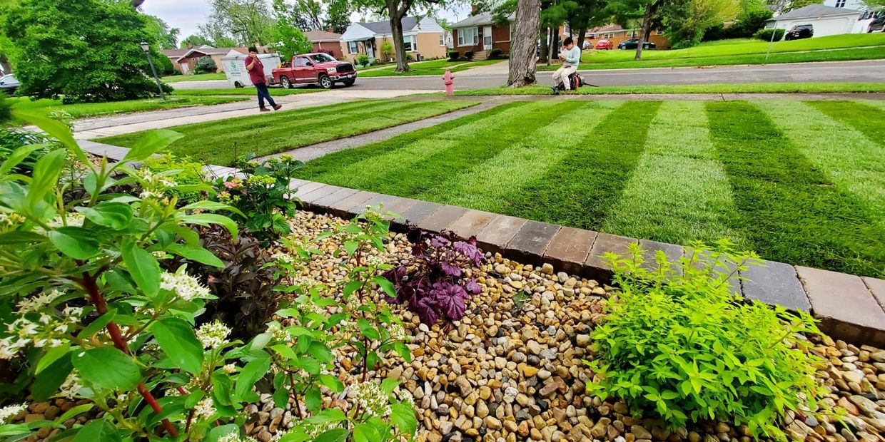 A neatly striped lawn with a gravel garden bed in the foreground and people in the background.