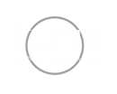 Elite Business Consulting