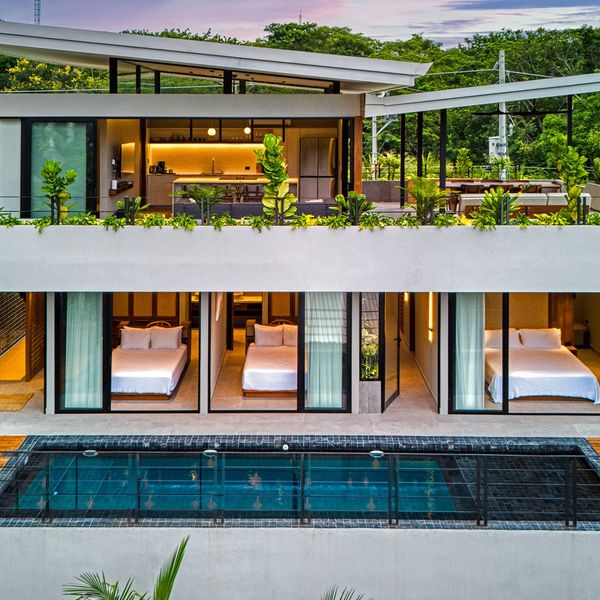 Modern house with rooftop garden and pool.