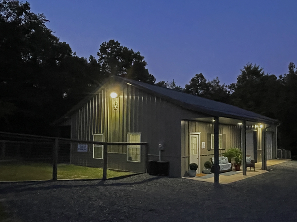 Our yard is well lit at night with solar powered vapor lights. 
