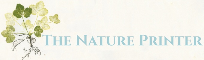 The Nature Printer