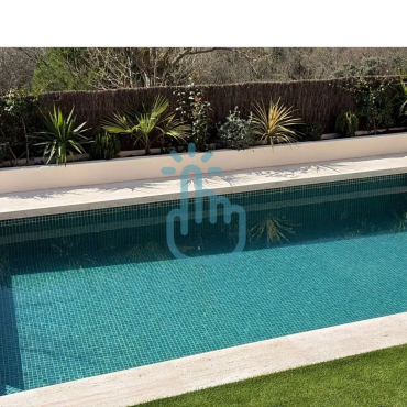Piscina limpia y jardín con plantas.