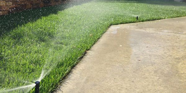 Sprinklers watering a green lawn beside a concrete pathway.