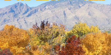 Far Horizons Mobile Home Park Cooperative Association