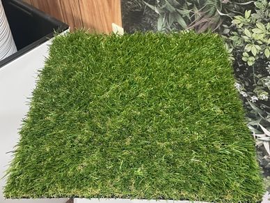 Golf Cup Cover - Artificial Grass, Putting Greens, Astro Turf & Ivy Plant  in West Palm Beach