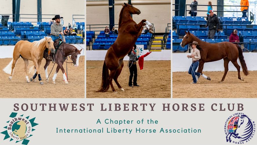 Liberty horses performing