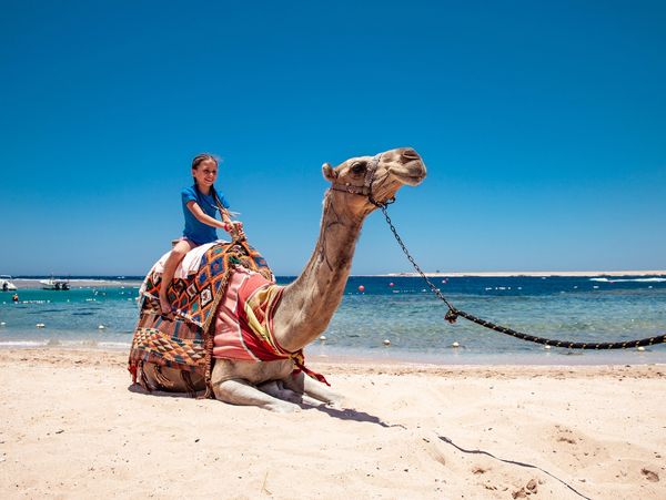 Happy Young Girl Riding a Camel in Egypt.