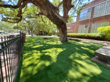 beautiful fake grass installed at a school