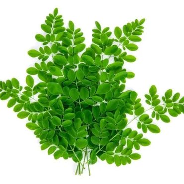 A bunch of green leaves on top of the ground.