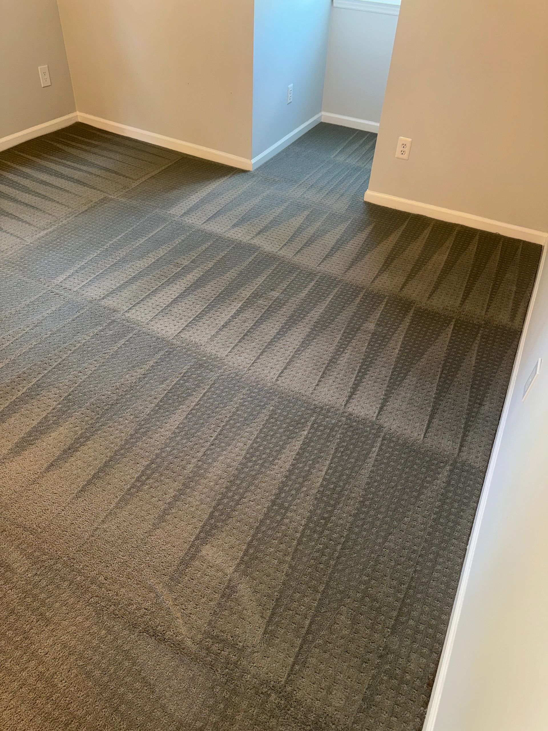 CleanWave Carpet & Floor Care