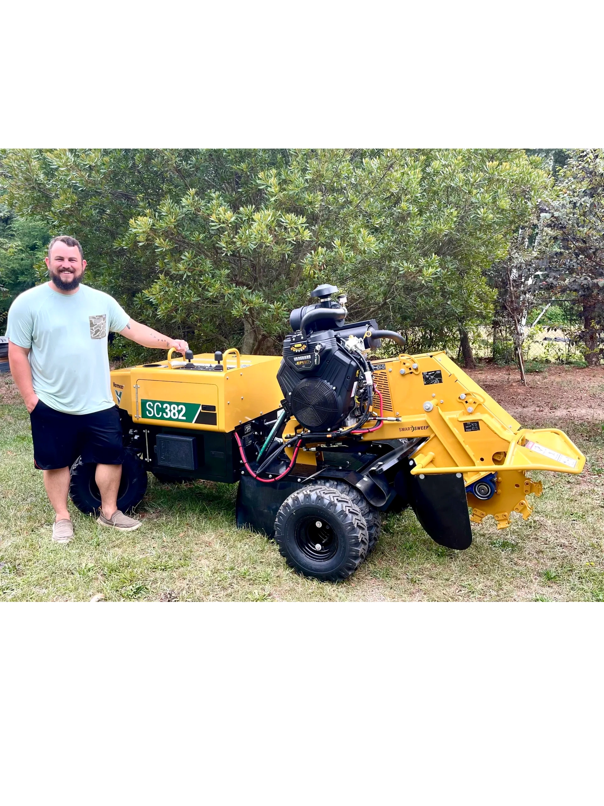 Expert Tree Removal and Stump Grinding Services