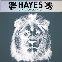 hayesgin.club