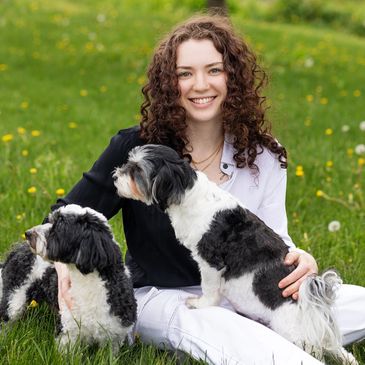 Champion Havanese Dogs