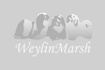 Weylin Marsh Kennels
