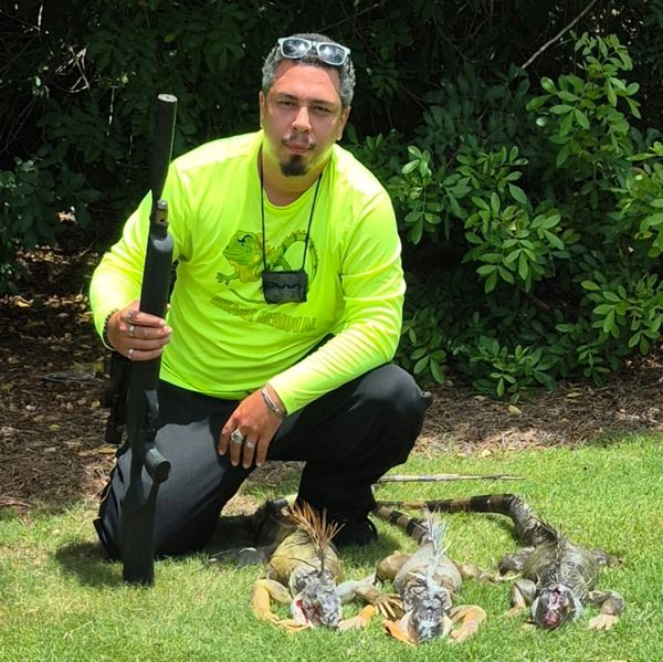 Wildlife removal specialist in South Florida with air rifle and captured iguanas after removal