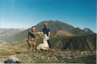 Dall_Sheep_2003_9.jpg