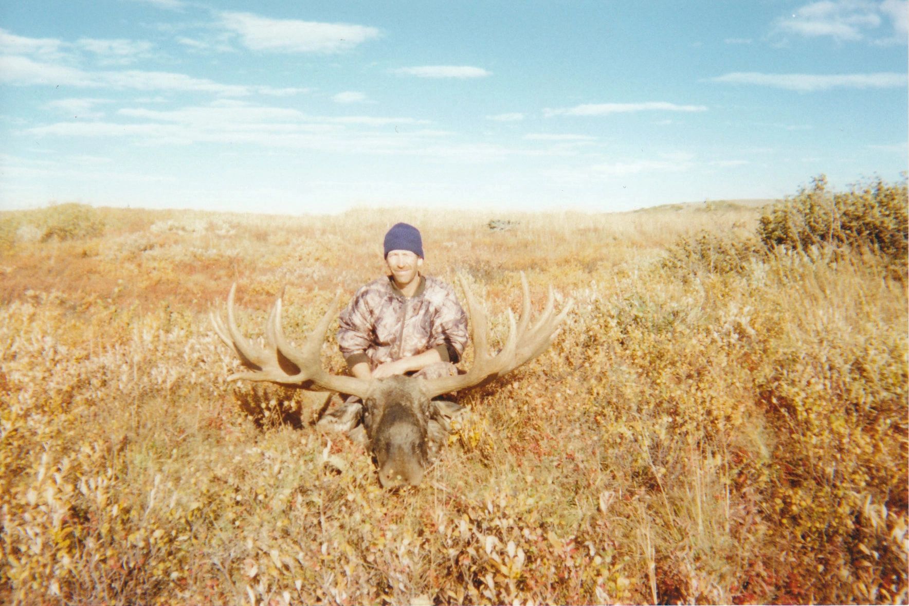 Moose_1999_4.jpg