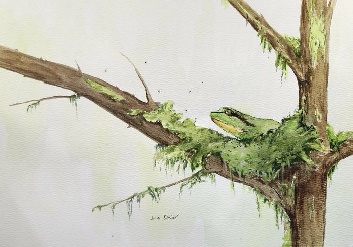 Artist: Julie Dreier