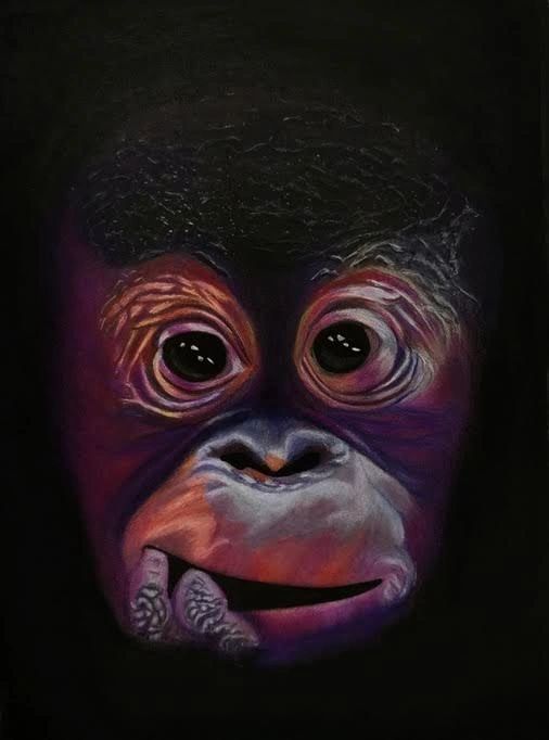 Drawing of the face of a monkey.