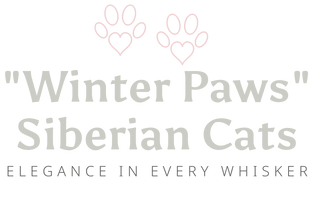 "Winter Paws"
 Siberian Cats