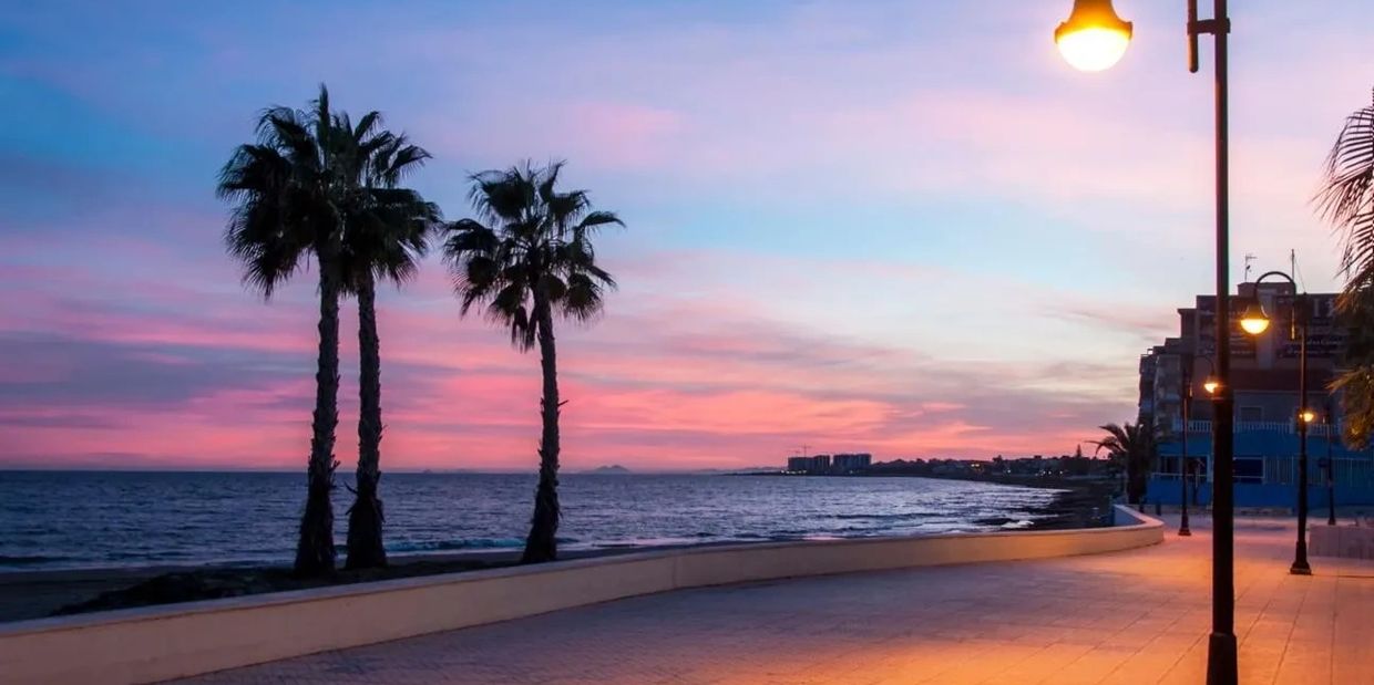 Palm trees by the ocean at sunset with street lamps lighting the walkway.