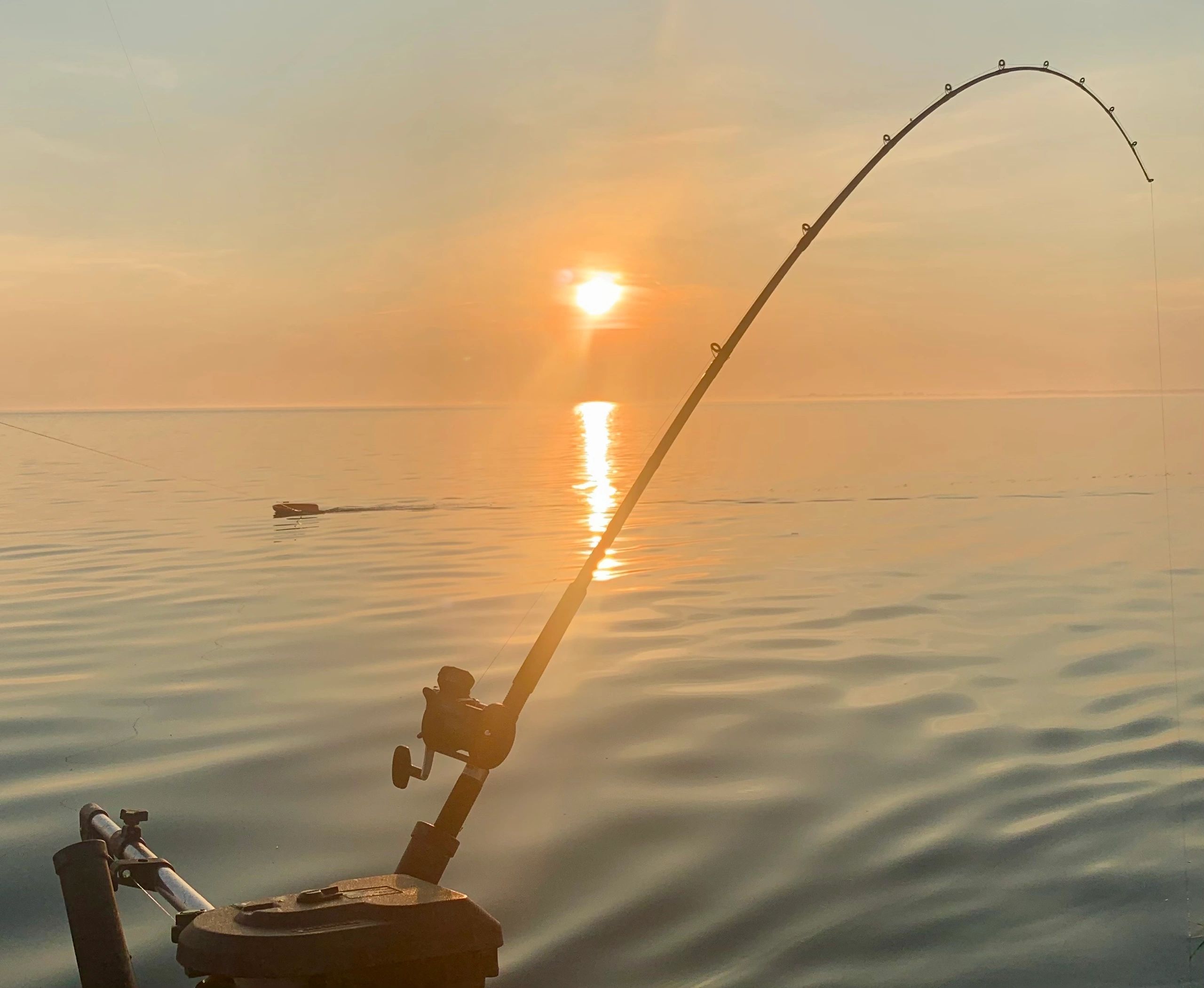 Afternoon Charter - 5 Hours — Dark30 Sportfishing – Dark30 Sportfishing
