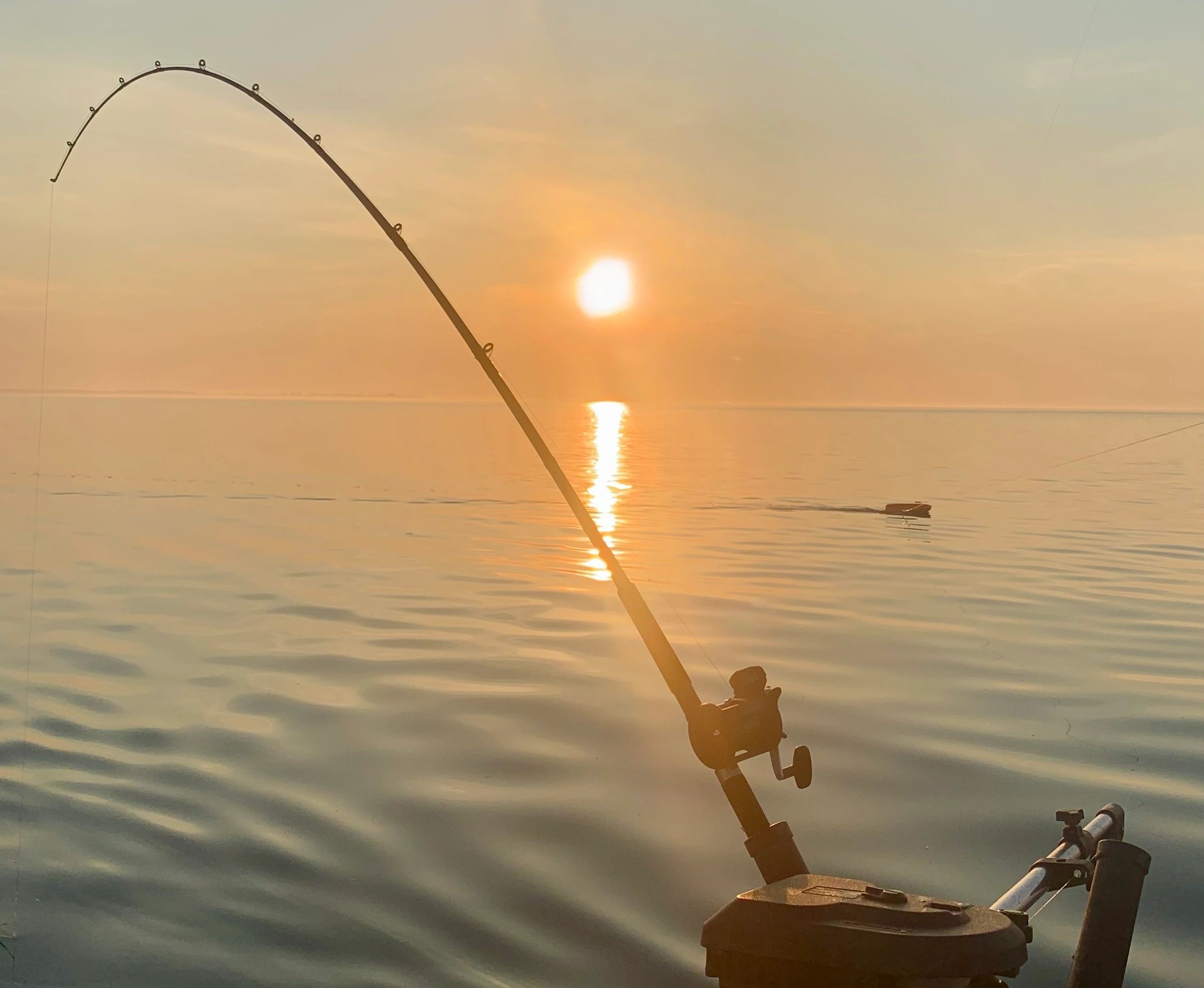 Afternoon Charter - 5 Hours — Dark30 Sportfishing – Dark30 Sportfishing