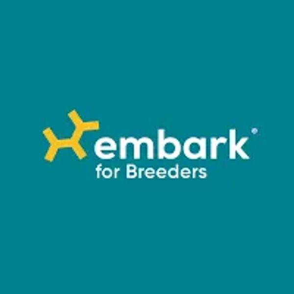 Embark Logo