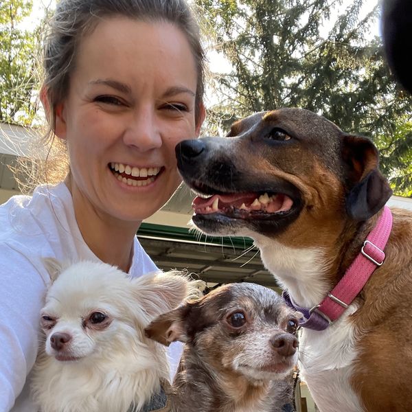 Dog Trainer Alexa of Walk the Dog Training in Chicago with three pups