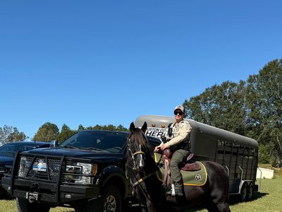 Person sitting on a horse next to a black truck and trailer.
