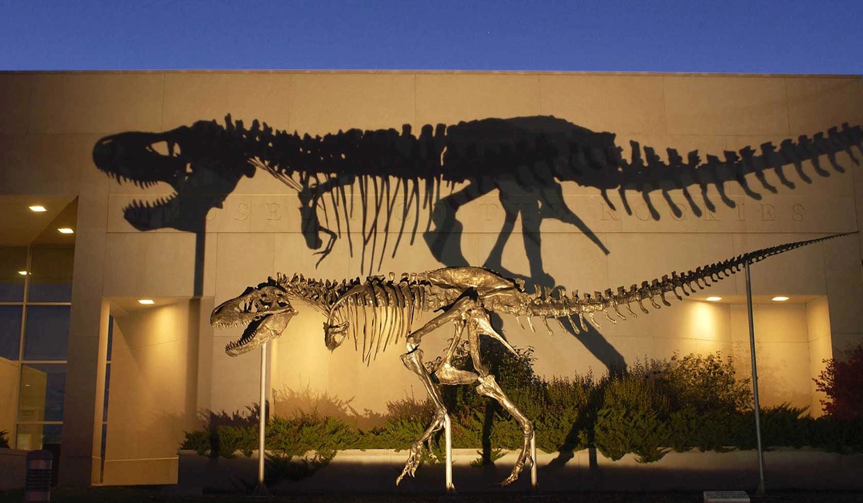 Museum of the Rockies in Bozeman Montana at night