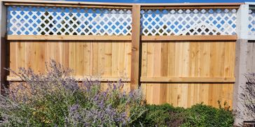 Fence Repair.
Commercial Fence repair.
Denver fence repair
colorado fence repair
best fence denver