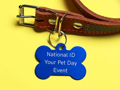 Blue pet ID tag on a brown collar for National ID Your Pet Day Event.